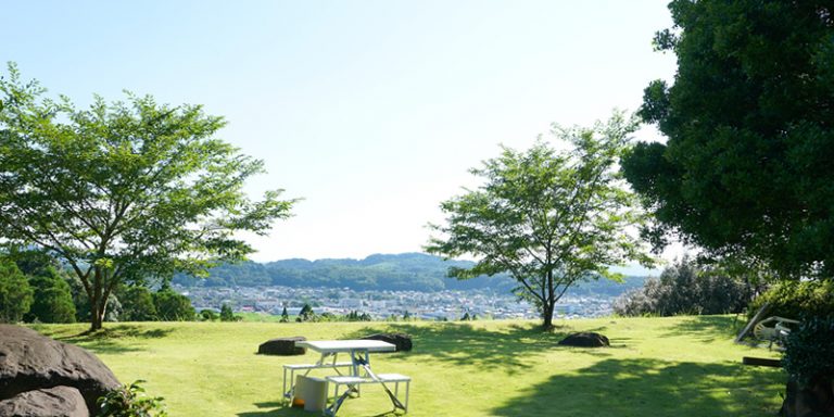 施設の敷地内の広々とした庭園。樹木に囲まれた緑地でベンチが設置されている。